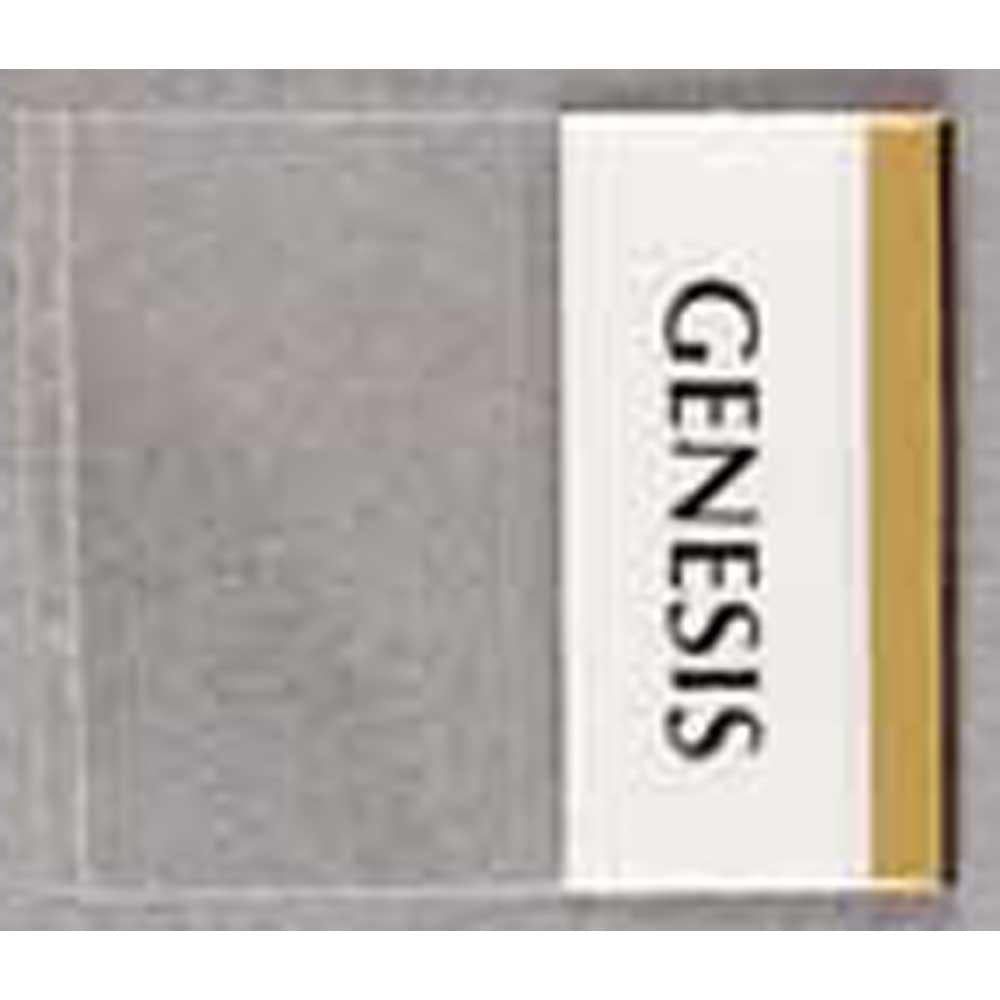 Bible Tabs Gold Edge Mini 80 Piece Paper by Dicksons