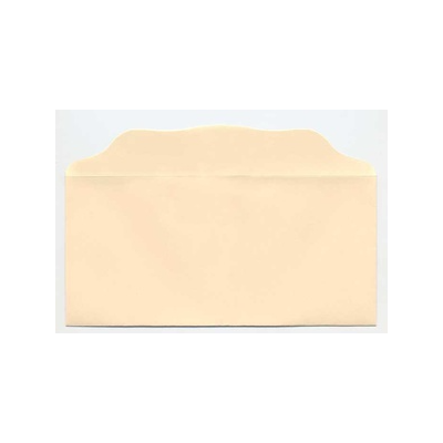 Bill-Size Blank Church Offering Envelope - Cream 100/pk