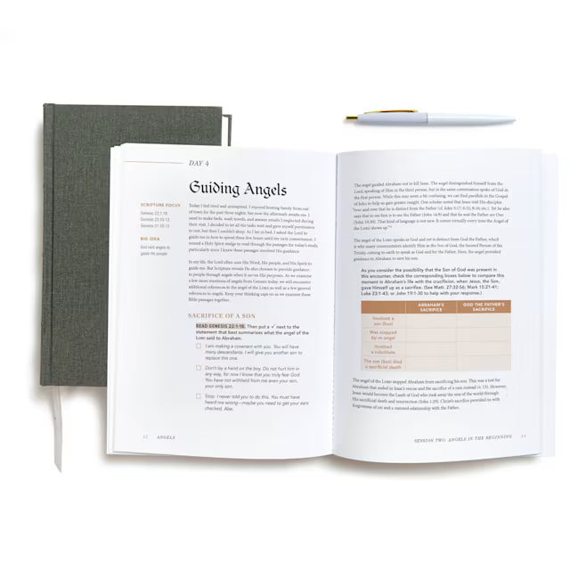 Angels - Bible Study Book with Video Access: Finding Hope in God Who Reigns over Heaven and Earth