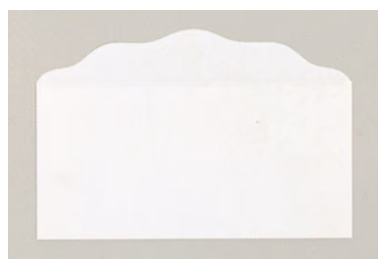 Offering Envelope:  White Blank | Bill-Sized | Package of 100