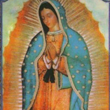 Prayer to Our Lady of Guadalupe Laminated Holy Card | Mystical Rose Prayer – Pack of 25