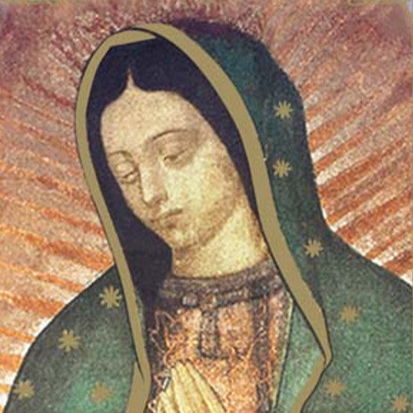 Our Lady of Guadalupe Laminated Holy Card | Magnificat – Pack of 25