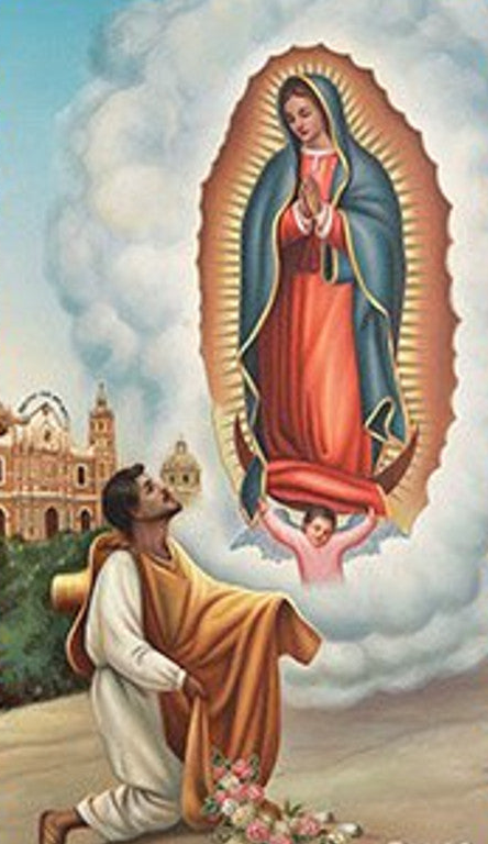 Saint Juan Diego Laminated Holy Card | Prayer to Saint Juan Diego – Pack of 25