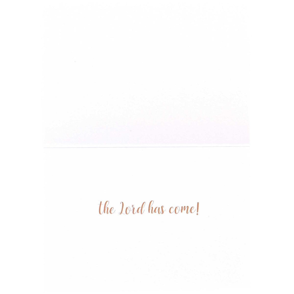 Christmas Card Floral Joy To The World by Dicksons, product view 3