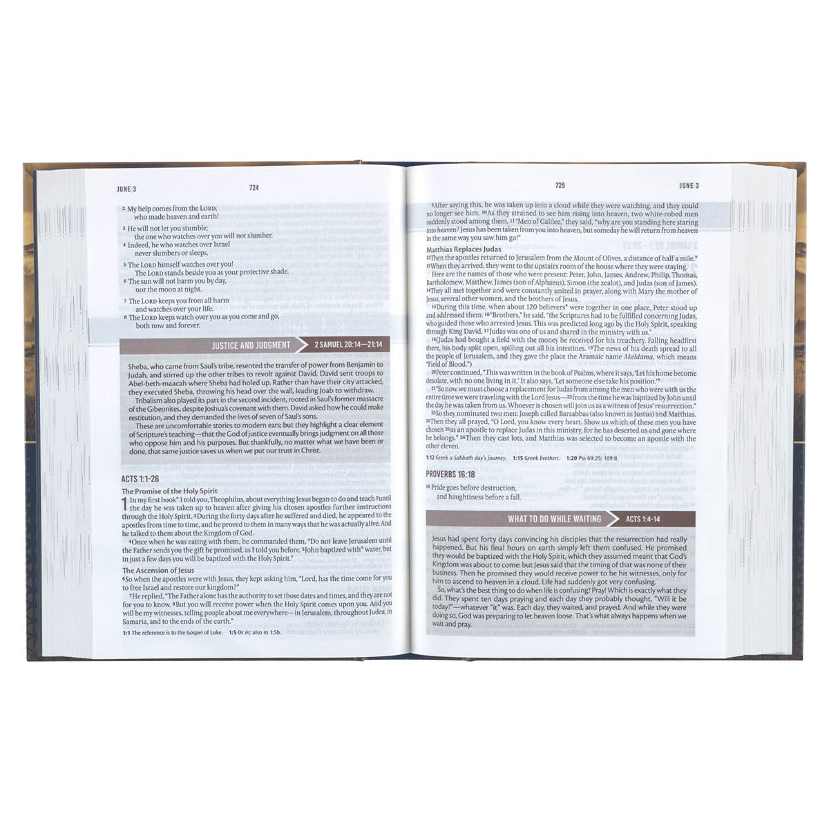 Gold and Navy Mountain View Hardcover NLT Everyday Devotional Bible for Men by Christian Art Gifts, product view 4