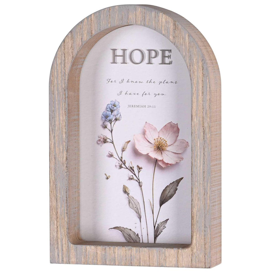 Framed Arch Hope For I Know Plans 7X11 by Dicksons, product view 2