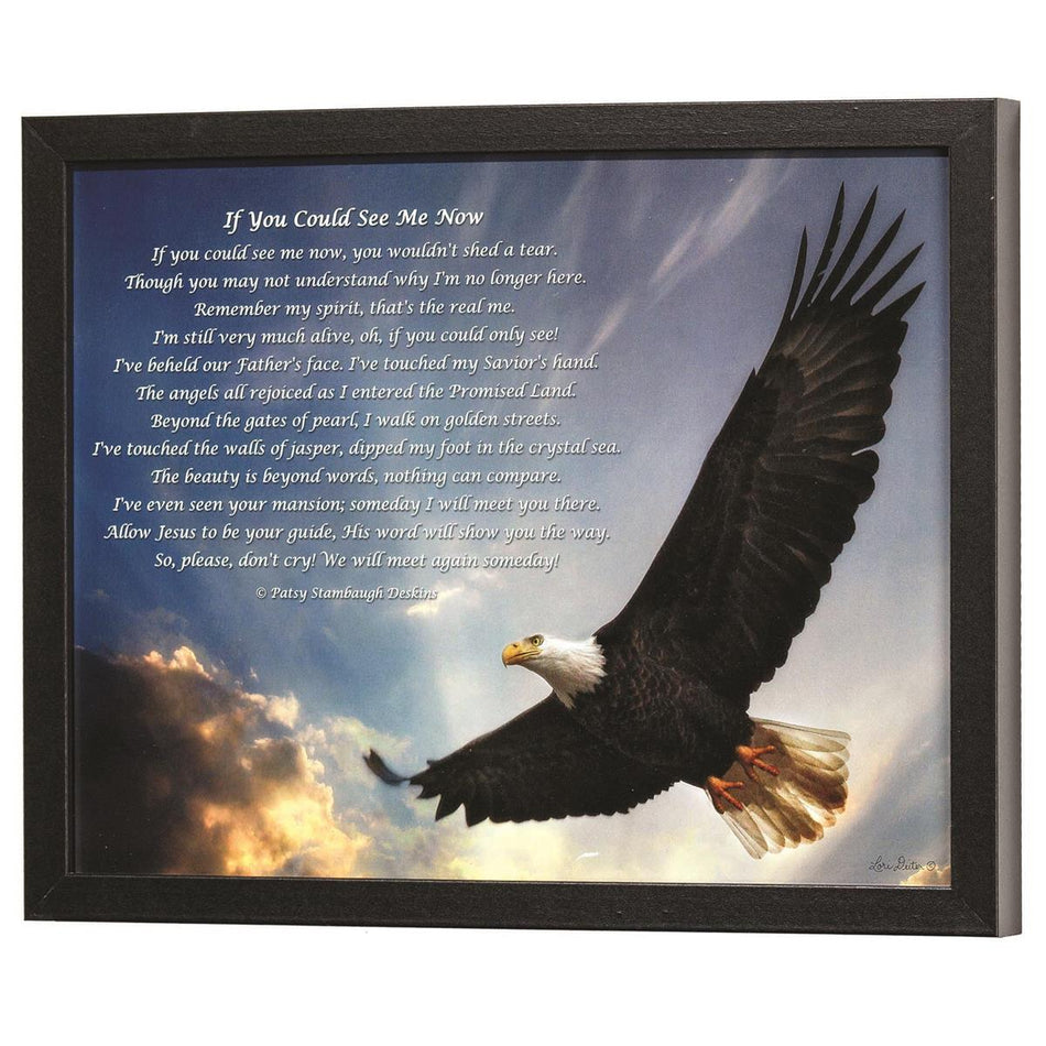 Framed Wall Art If You Could See 14x11 by Dicksons
