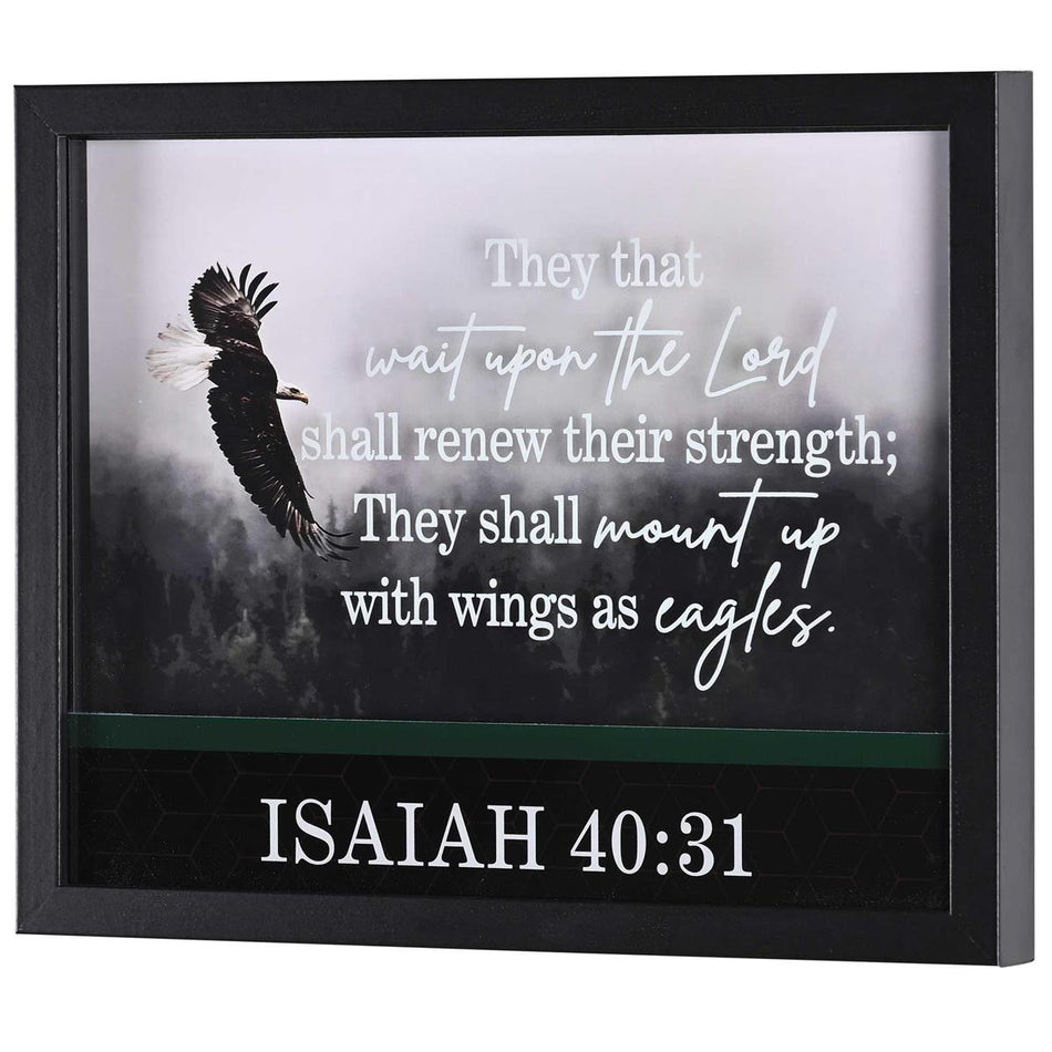 FRMWDBL-1411-68 Shall Renew Their Strength 12 x 15 Inch Shadow Box Wall by Dicksons