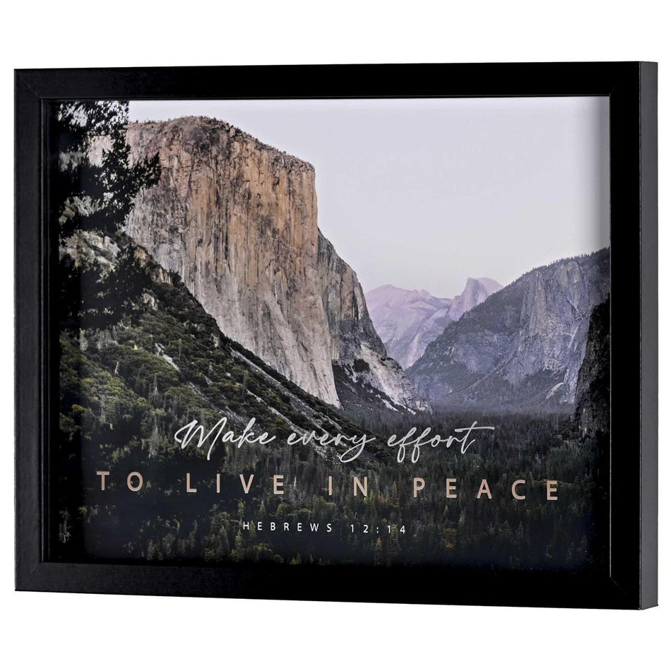 Make Every Effort To Live In Peace Hebrews 12:14 Black Wood and Glass Shadowbox by Dicksons