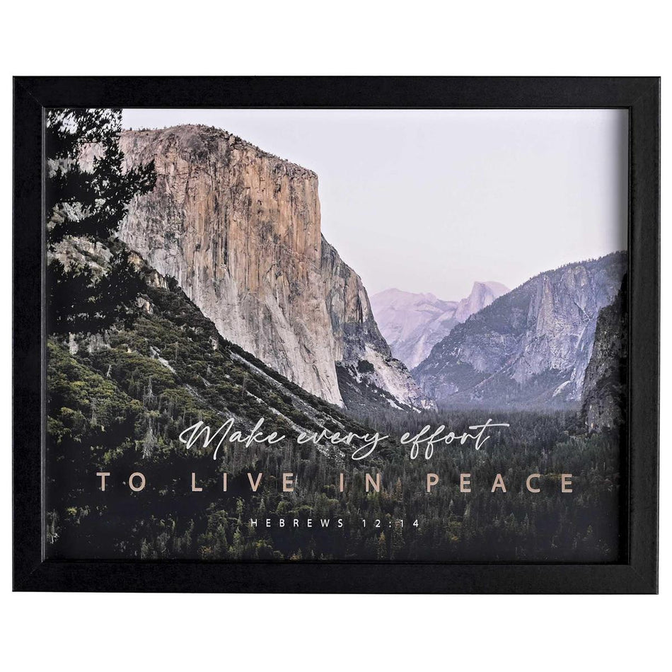 Make Every Effort To Live In Peace Hebrews 12:14 Black Wood and Glass Shadowbox by Dicksons, product view 2