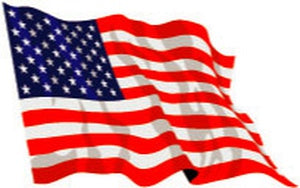 American Flag | Various Sizes Available | Polywavez® Flags | 2-Ply Polyester Outdoor US