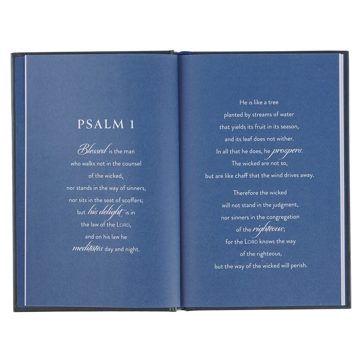 Shaped by God Blue Hardcover Gift Book by Christian Art Gifts, product view 3