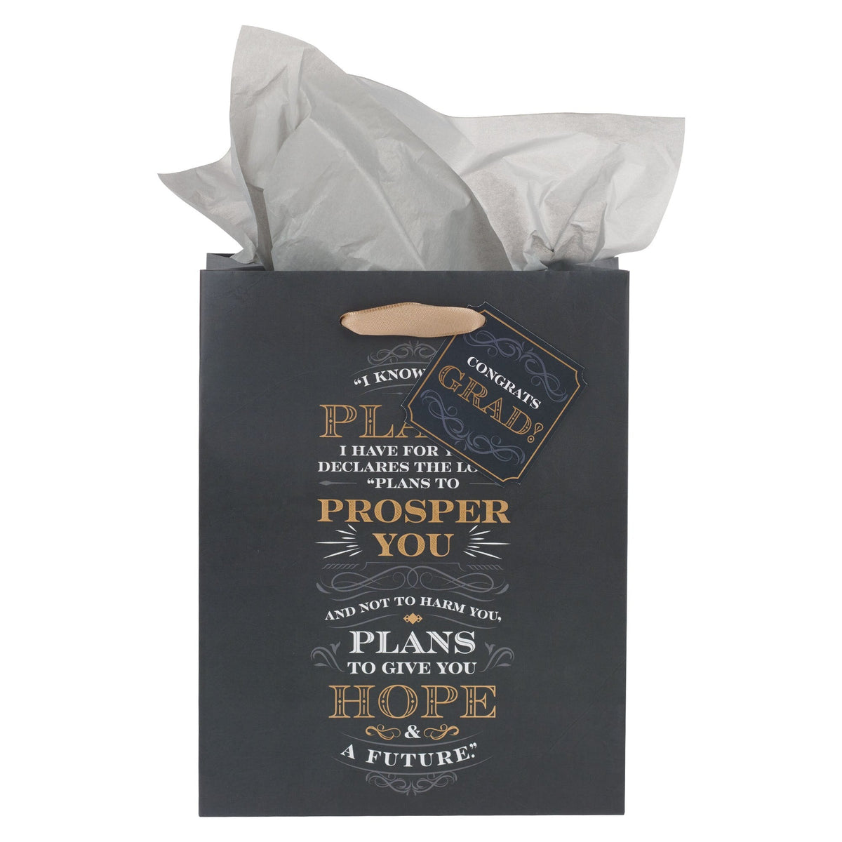 I Know the Plans Gray Medium Gift Bag - Jeremiah 29:11 by Christian Art Gifts