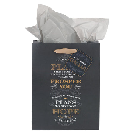 I Know the Plans Gray Medium Gift Bag - Jeremiah 29:11 by Christian Art Gifts