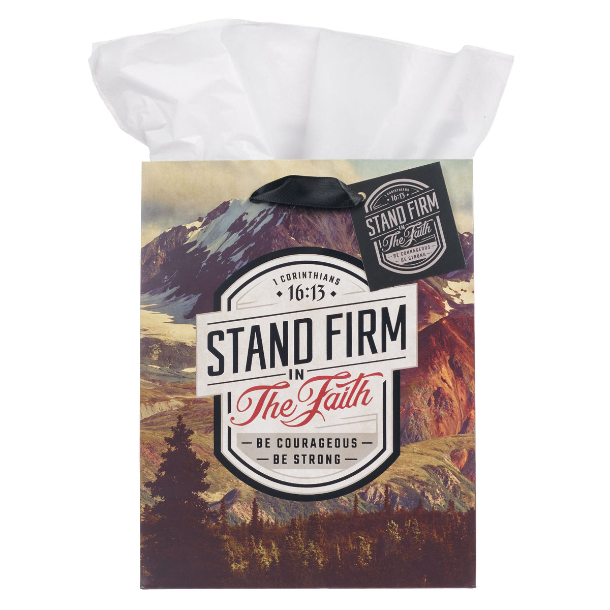 Stand Firm in the Faith Mountain View Medium Gift Bag - 1 Corinthians 16:14 by Christian Art Gifts