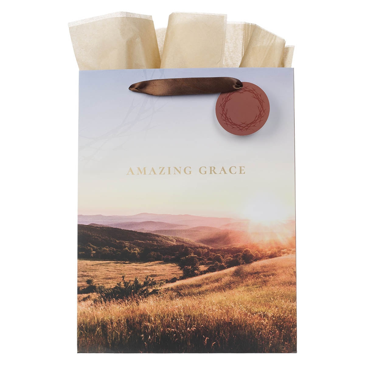 Amazing Grace Crown of Thorns Large Portrait Gift Bag by Christian Art Gifts