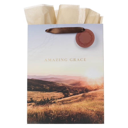 Amazing Grace Crown of Thorns Large Portrait Gift Bag by Christian Art Gifts