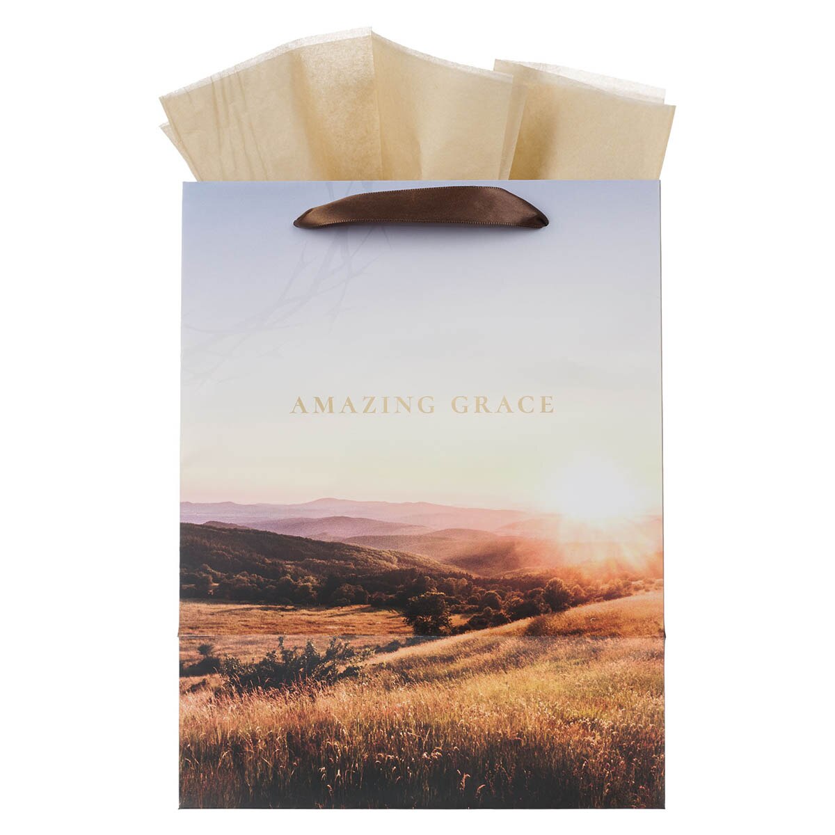 Amazing Grace Crown of Thorns Large Portrait Gift Bag by Christian Art Gifts, product view 3