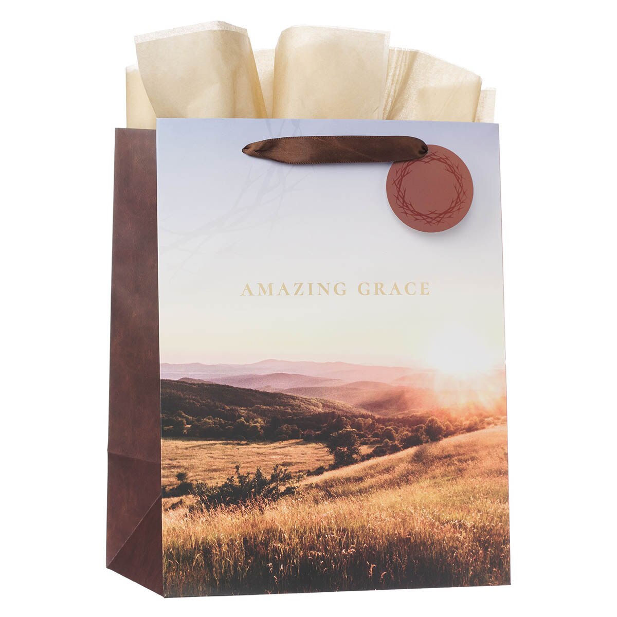 Amazing Grace Crown of Thorns Large Portrait Gift Bag by Christian Art Gifts, product view 2