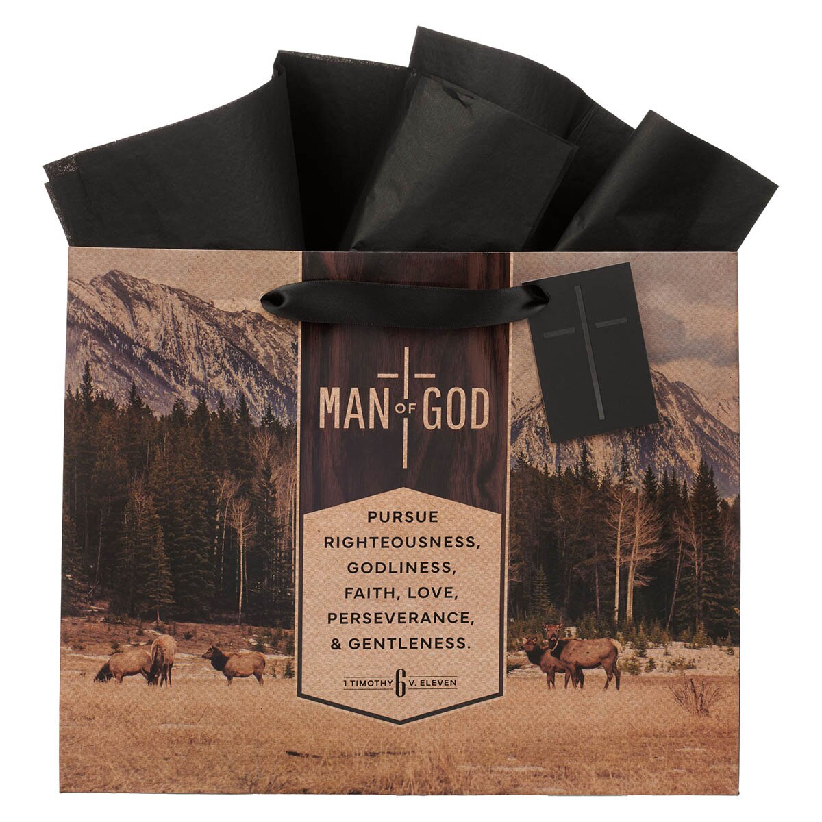 Man of God Brown Trailhead Large Landscape Gift Bag - 1 Timothy 6:11 by Christian Art Gifts