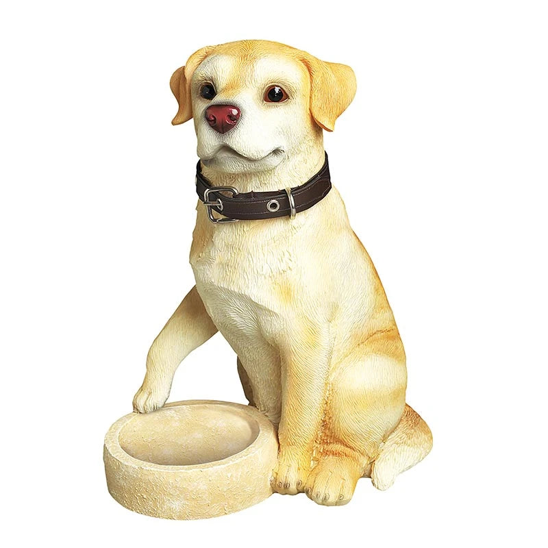 Dog Pet Display