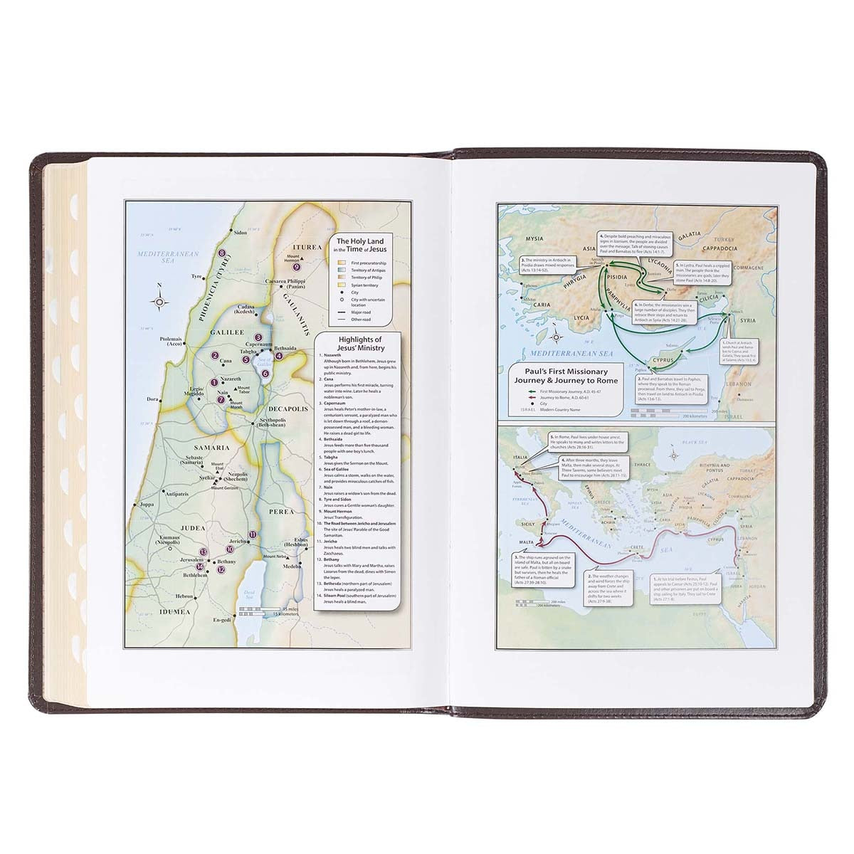 Dark Brown Faux Leather Large Print Thinline King James Version Bible with Thumb Index by Christian Art Gifts, product view 7