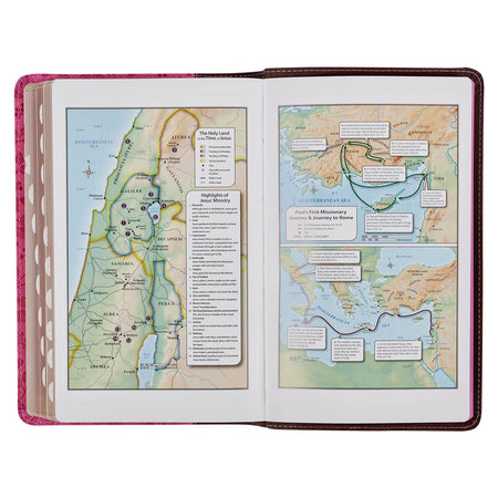 Brown and Berry Pink Faux Leather Giant Print Standard-size King James Version Bible with Thumb Index, product view 6