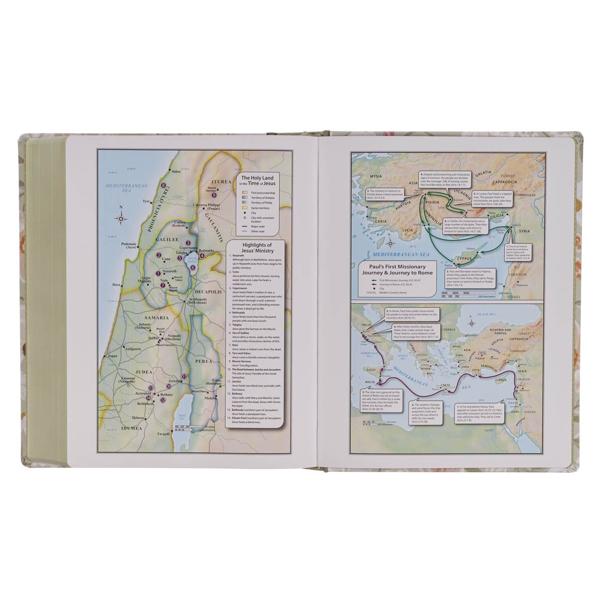 Sage Green Floral Hardcover Amelia Collection Large Print King James Version Note-taking Bible - Luke 22:42, product view 5