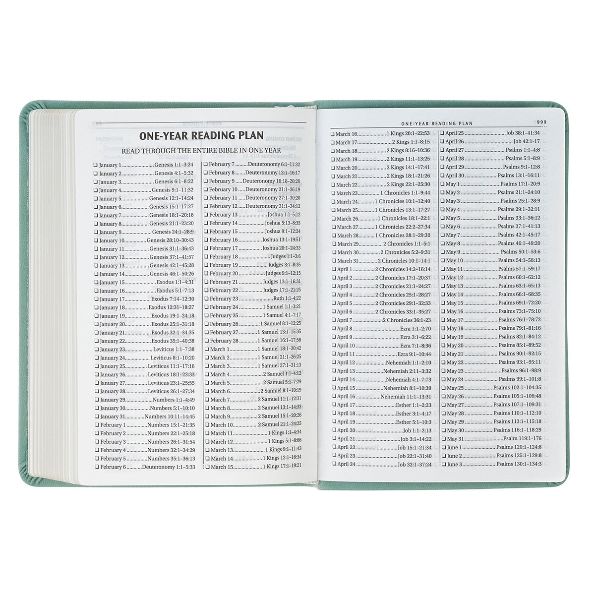 Teal Bloom Faux Leather Compact King James Version Bible by Christian Art Gifts, product view 4