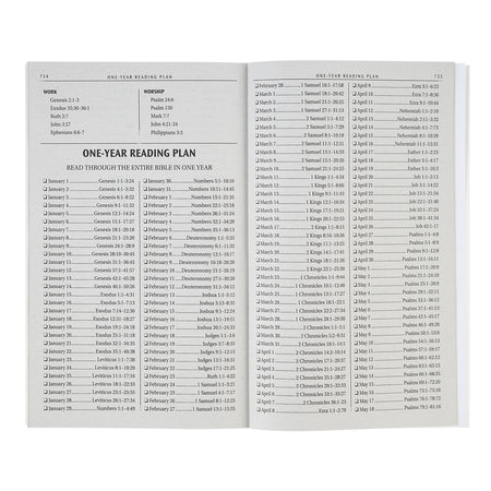 Lion Softcover King James Version Outreach Bible by Christian Art Gifts, product view 3