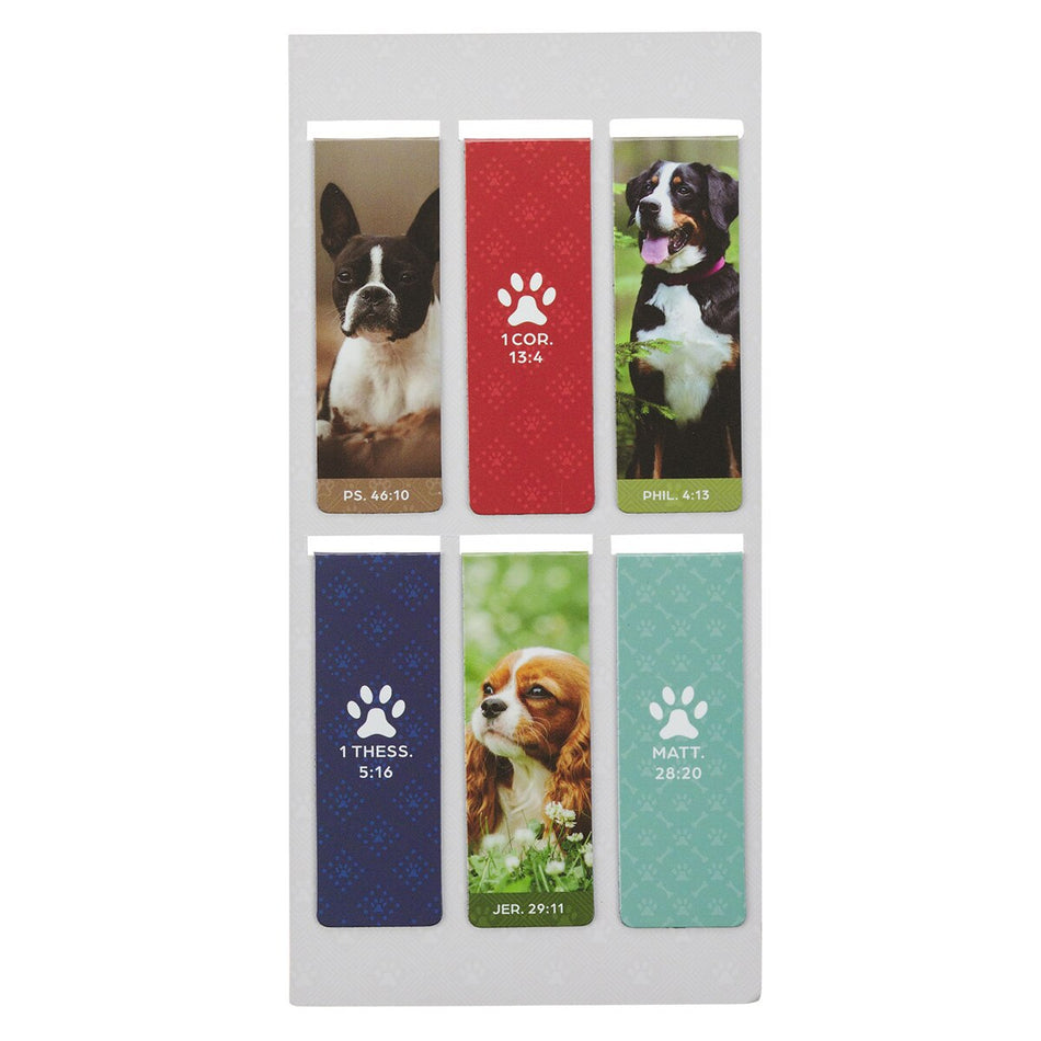 Pawsitive Encouragement Magnetic Bookmark Set (Pack of 6) by Christian Art Gifts, product view 2