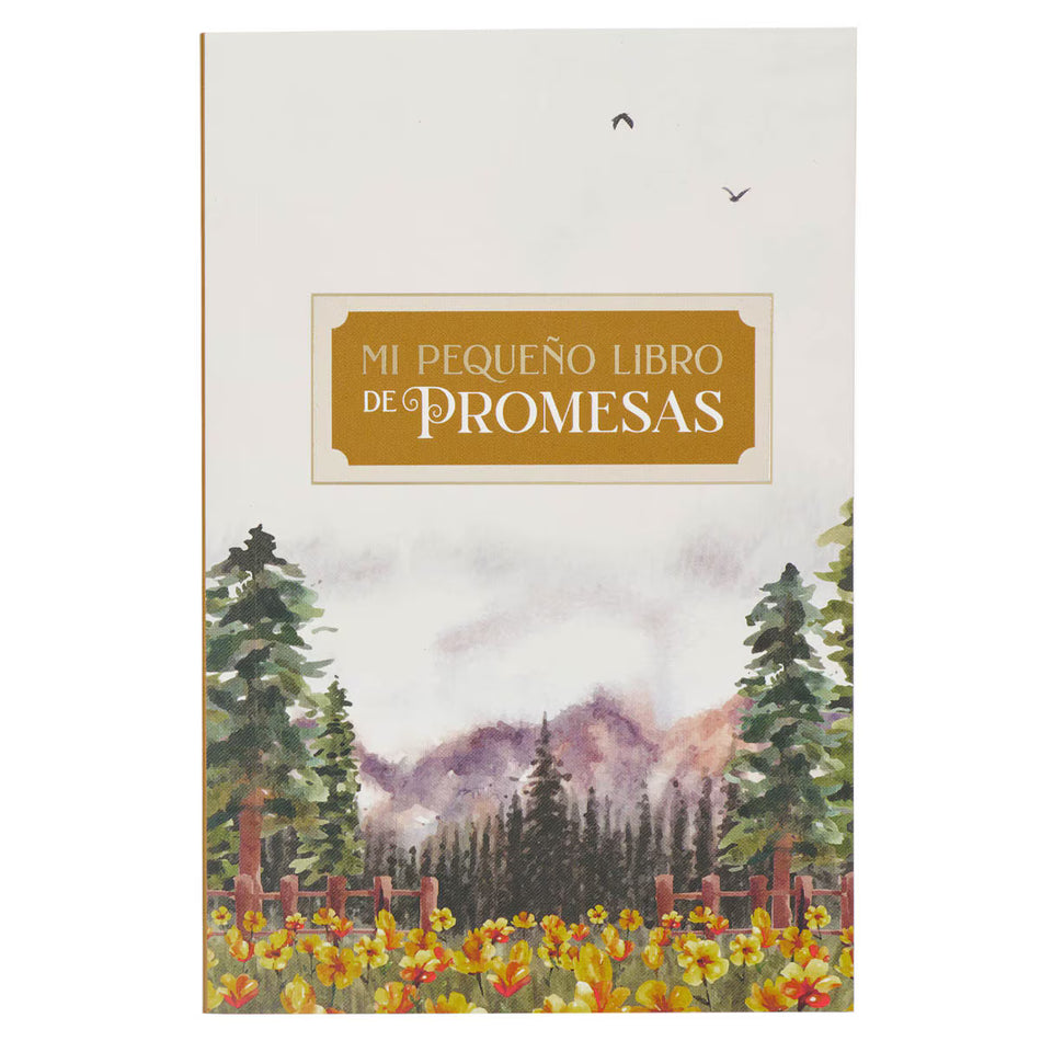 Libro de Regalo Mi Pequeño Libro de Promesas