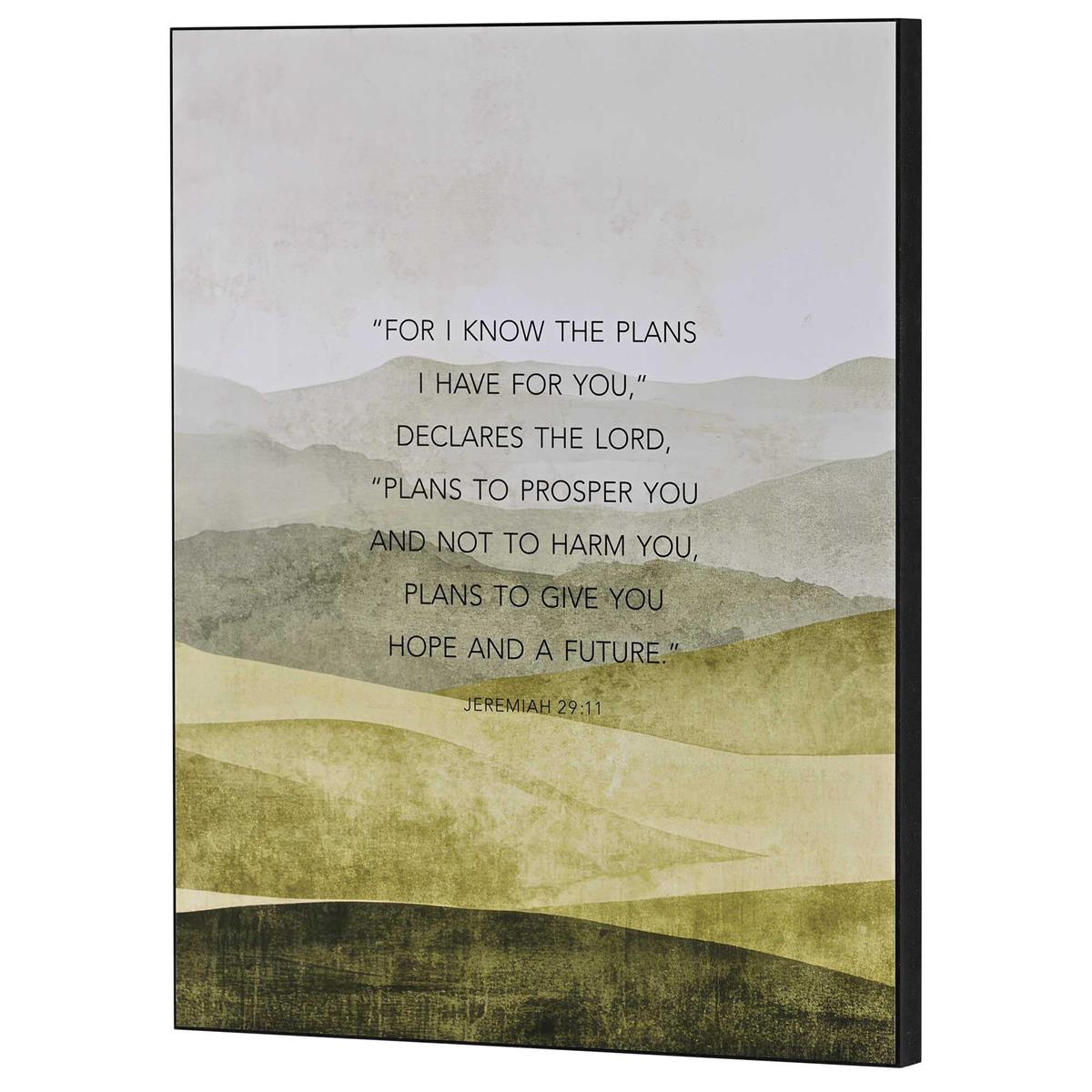Wall Plaque For I Know The Plans by Dicksons