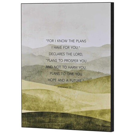 Wall Plaque For I Know The Plans by Dicksons