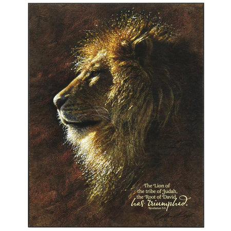 Wall Plaque The Lion Of The Tribe by Dicksons, product view 2