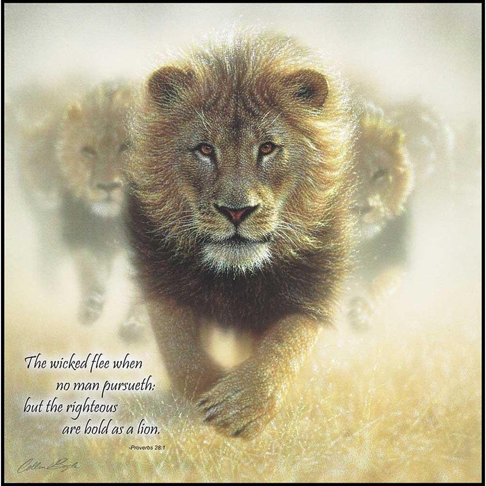 Plaque Wall Bold as A Lion MDF 12X12 by Dicksons