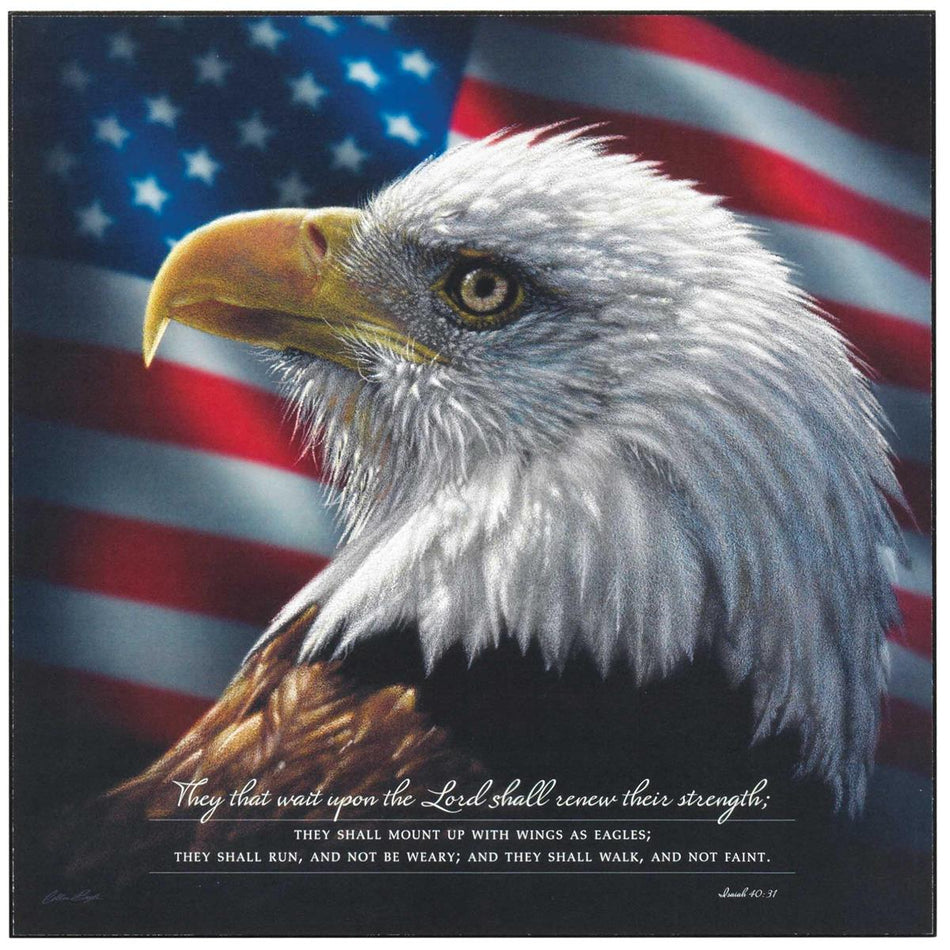 Wait Upon The Lord Soar Eagles Wings 12 x 12 MDF Decorative Wall Plaque by Dicksons, product view 2