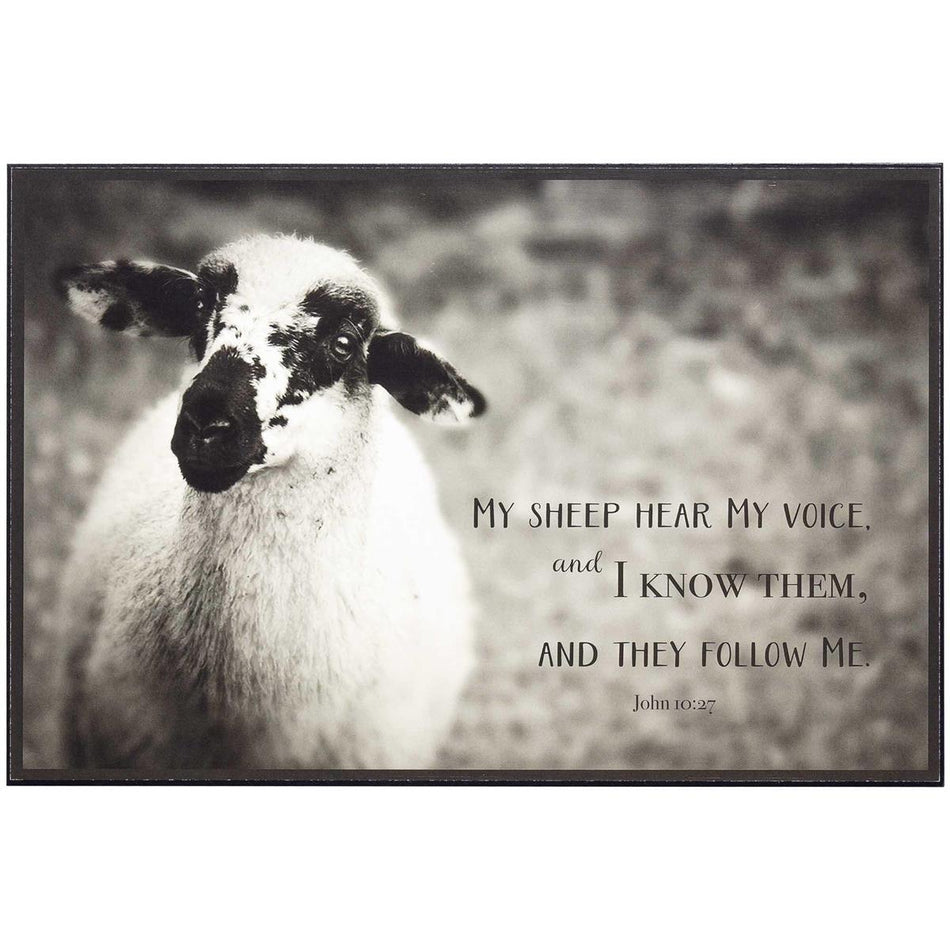 My Sheep Follow John 10:27 Wall Plaque by Dicksons, product view 2