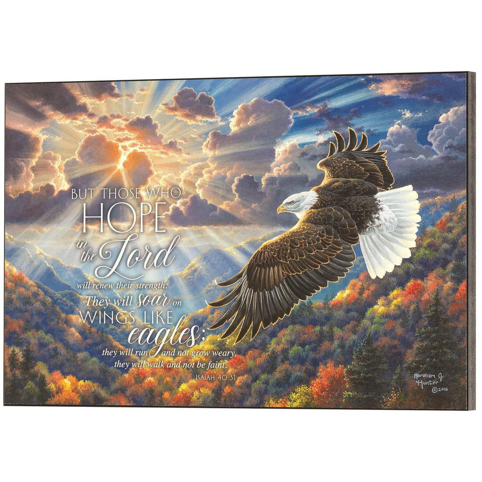 But Those Who Hope Soar On Wings 15 x 10 MDF Wall Art Sign Plaque by Dicksons