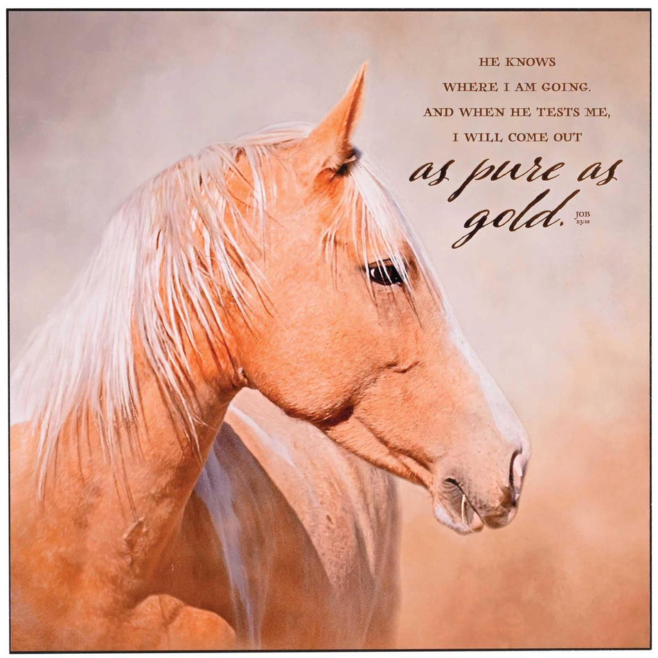 Wall Plaque But He Know Where I Am Going by Dicksons, product view 2