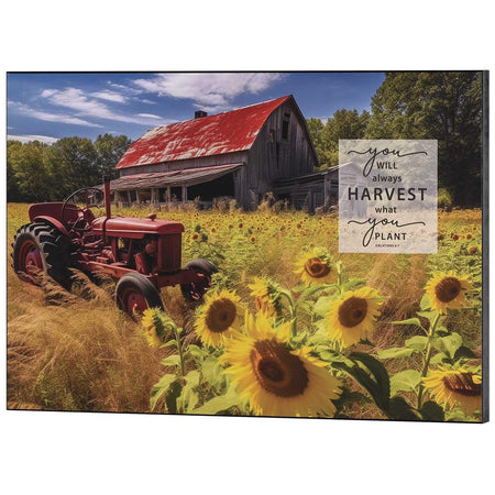 Wall Plaque You Will Always Harvest by Dicksons