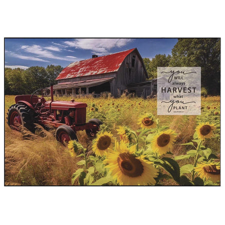 Wall Plaque You Will Always Harvest by Dicksons, product view 2