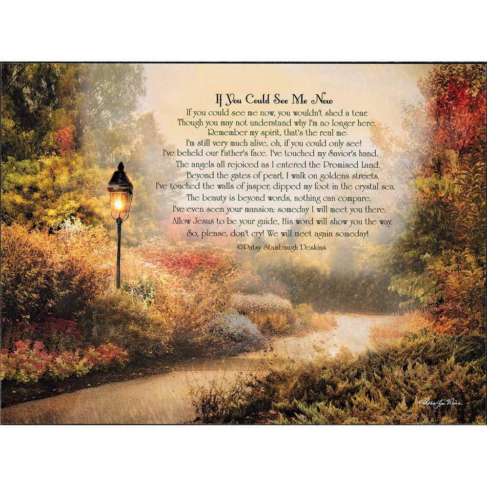 If You Could See Me Now Path 15 x 11 Inch Wood Wall Hanging Plock Plaque by Dicksons