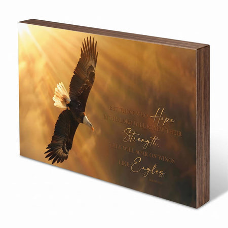Wall Plaque Flight Eagle Those Who Hope by Dicksons, product view 2
