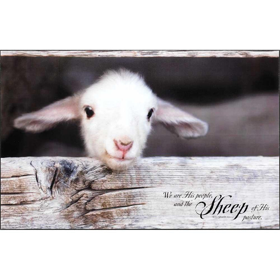 Plaque Wll Lamb We Are His People MDF 17X11 by Dicksons