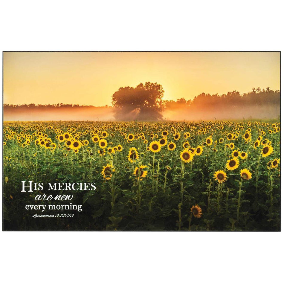 Wall Plaque His Mercies Are New by Dicksons, product view 2