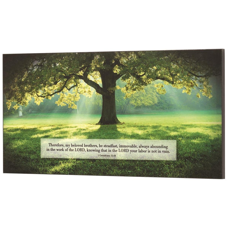 Be Steadfast and Immovable Encouraging Verse Green 25 x 13 MDF Decorative Wall by Dicksons