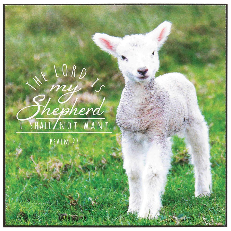 Lord Is My Shepard White Lamb 6 x 6 MDF Decorative Wall and Tabletop Frame by Dicksons