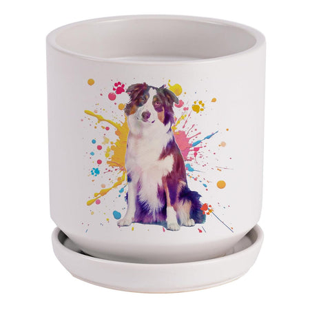 Planter Australian Shepherd Paint by Dicksons