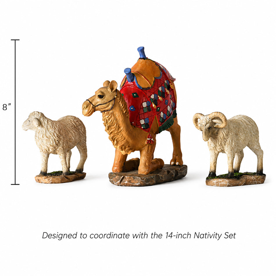 XL Kneeling Camel/Awassi Sheep - 14H Set by Dicksons, product view 2